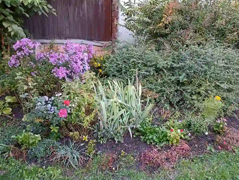 Dekoratív kép a gyülekezetről